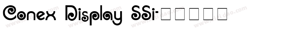 Conex Display SSi字体转换
